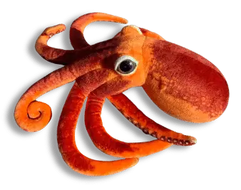 orange dyslexia octopus dyslexia octopus